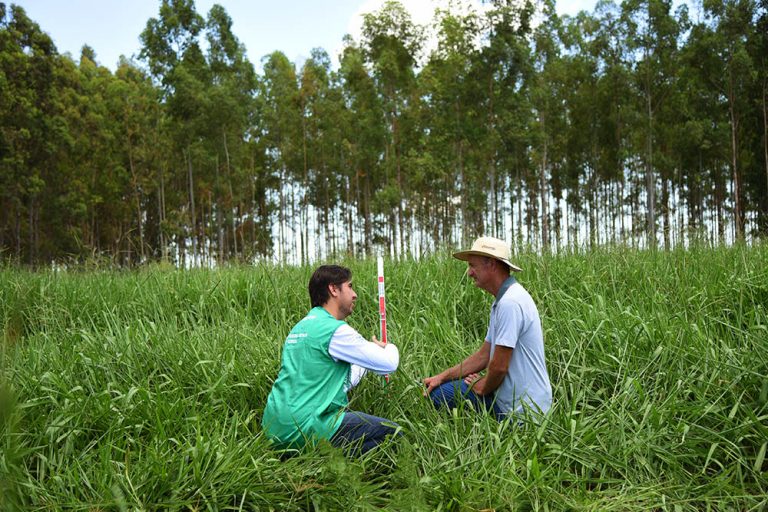 Dinapec 2018 Senarms Realiza Encontro Para Fortalecimento Da Assistência Técnica 2975